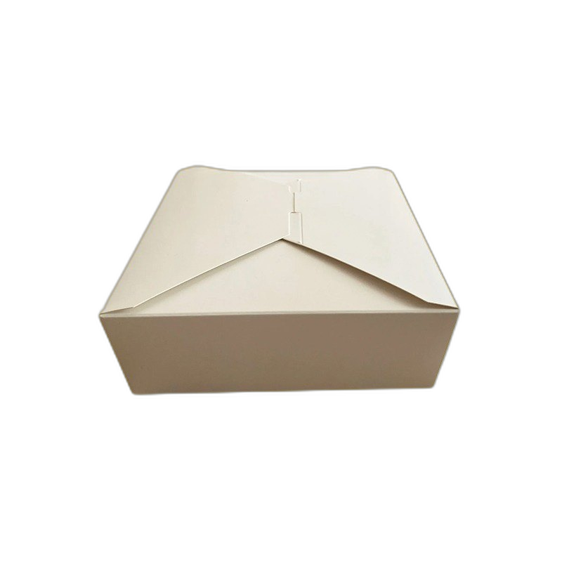 Custom Dura Takeout Boxes