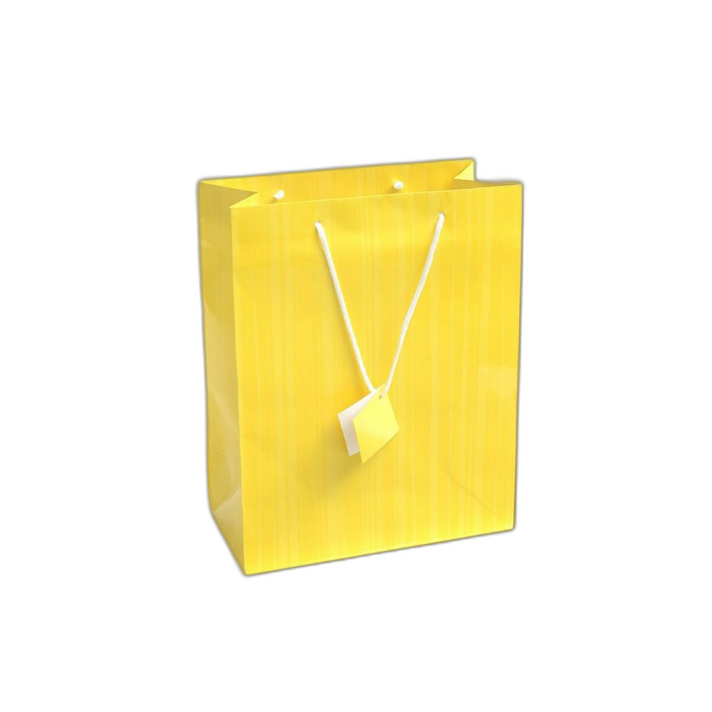 Custom Luxury Shopping Bags