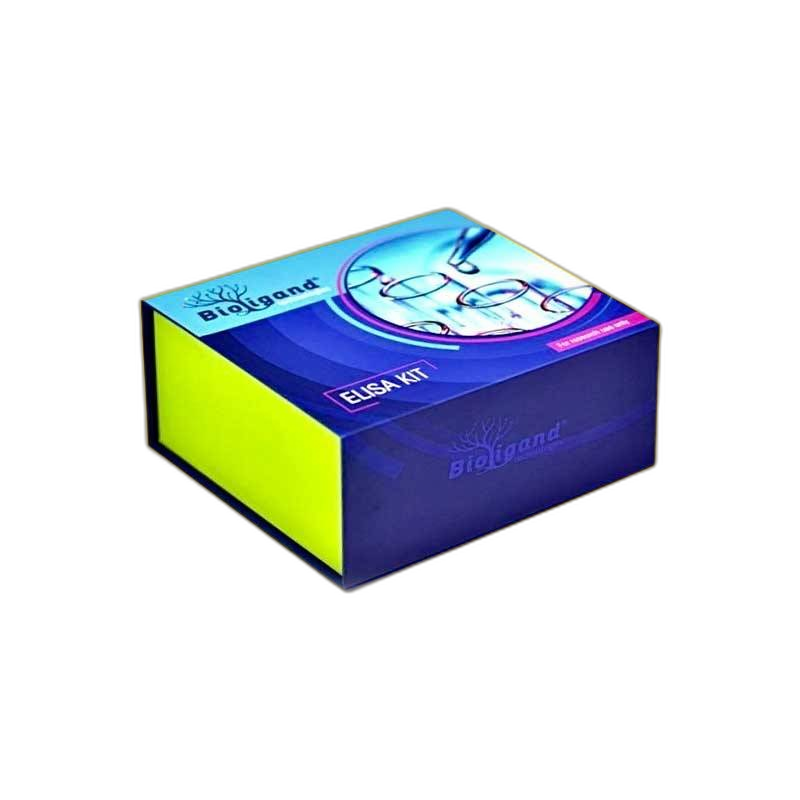 Custom Pharma Rigid Boxes