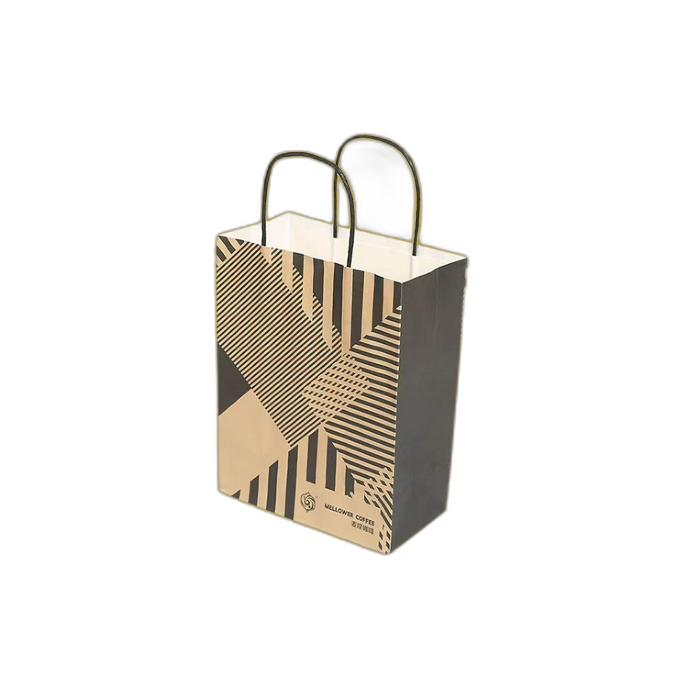 Custom Twisted Handle Card Bags
