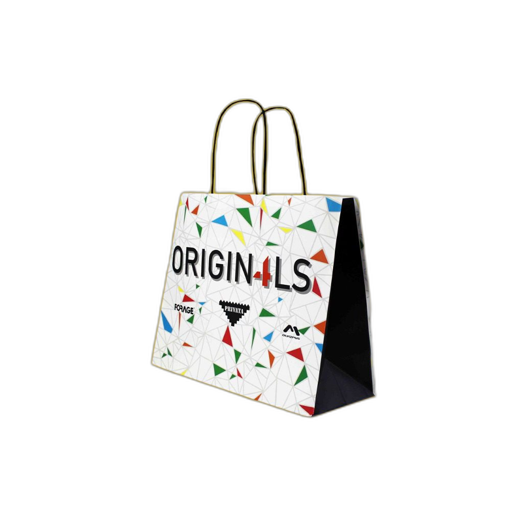 Custom Twisted Handle Paper Bags